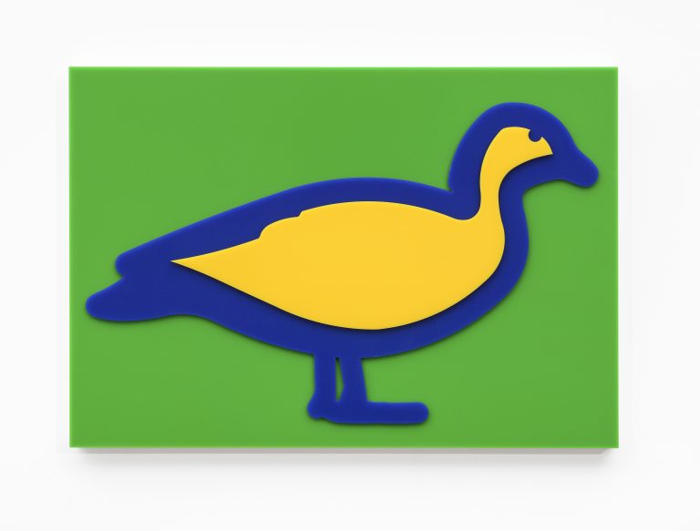 Australian Wood Duck, 2020