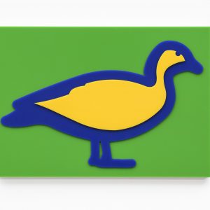 Australian Wood Duck, 2020