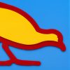 Swamp Hen, 2020