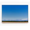Cowbells, Tractors, Silence, 2000