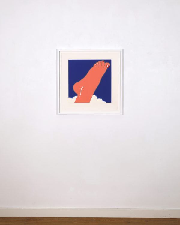 Wesselmann_T_SeascapeFoot_1986_floor@0.75x Seascape (Foot), 1968