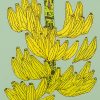 Bananas, 2021
